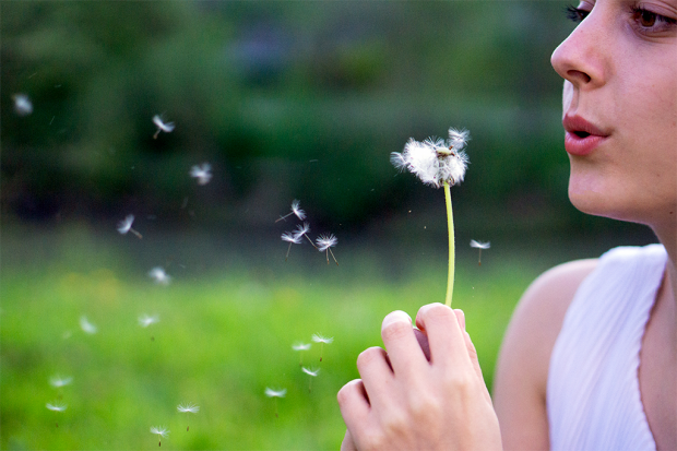 20180420-DSC00633-Recovered